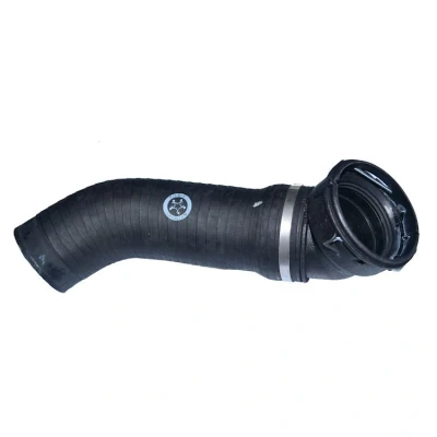 Afbeelding van THERMOTEC DCB002TT Laadluchtslang BMW: X3