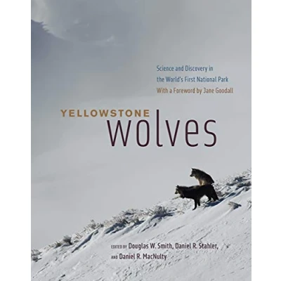 Afbeelding van Yellowstone Wolves