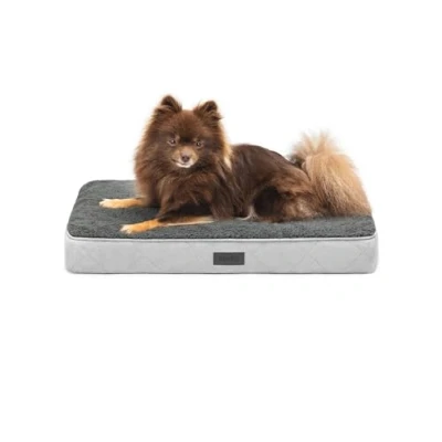 Afbeelding van lionto Orthopedisch hondenbed, 60 x 40 8 cm, robuust kussen van zacht pluche, wasbare hoes, antislip, waterdicht, voor kleine en grote honden katten, grijs