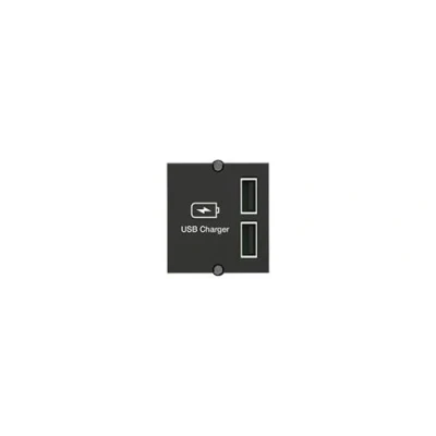Afbeelding van Bachmann Custom Module USB Dubbele lader, Zwart