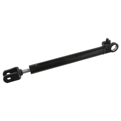 Afbeelding van Febi Bilstein Cabine kantelcilinder 33007