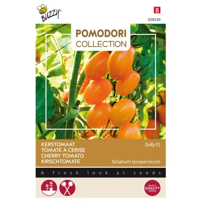 Afbeelding van Pomodori Dolly F1 Buzzy