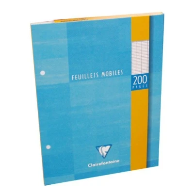 Image de Feuillets mobiles sous étui 17x22 200 pages Q.5x5