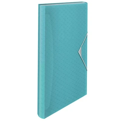 Image de Classeur ménager en polypropylène Colour&#039;Ice 6 onglets Esselte