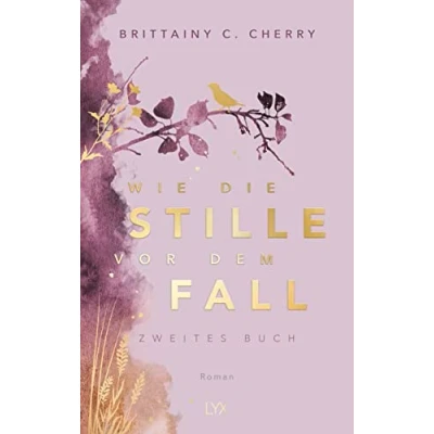 Afbeelding van Wie die Stille vor dem Fall. Zweites Buch: Special Edition