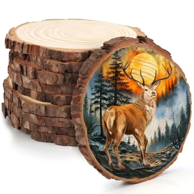 Afbeelding van Kurtzy ruwe natuurlijke houten sluitringen (10 stuks), diameter van 14 tot 16 cm, schijven met schors en zonder gat, hout voor pyrografie, handwerk decoratie Kerstmis bruiloft