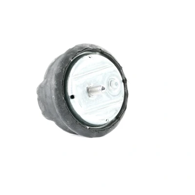 Afbeelding van Aslichaam /motorsteunlager MEYLE 300 221 1102