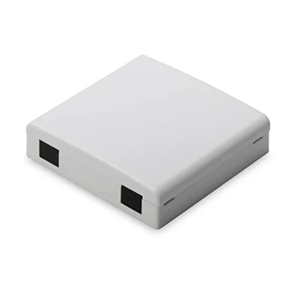 Image de DIGITUS Professional DN 931087 Prise montable sur mur gris, RAL 7035 2 ports