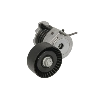 Afbeelding van Riemspanner, Poly V riem INA 534 0366 10