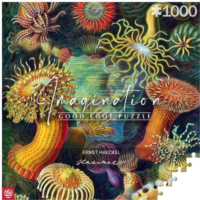 Afbeelding van Good Loot Jigsaw Puzzel Imagination Series Ernst Haeckel Sea Anemones Klassieke Puzzels Puzzelkunst met afbeelding 1000 stukjes voor volwassenen Casse Kunsthoofd