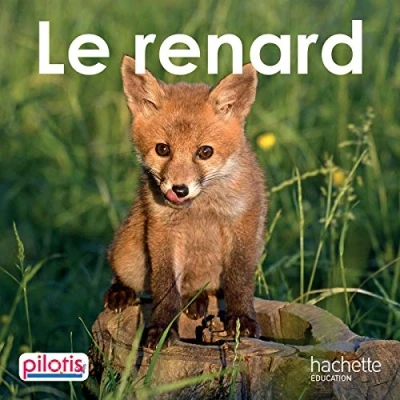Afbeelding van Le renard (Lecture CP Pilotis)
