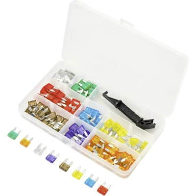 Afbeelding van TRU COMPONENTS TC 10334036 Platte minizekering 3 A, 5 7.5 10 15 20 25 30 A Violet, Oranje, Grijs, Rood, Blue, Geel, Helder, Groen 100 stuk(s)