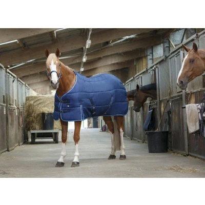 Afbeelding van Riding World Staldeken 155/206