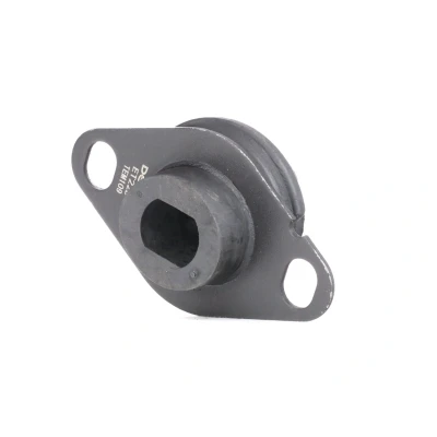 Afbeelding van DELPHI TEM109 Aslichaam / motorsteunlager RENAULT: CLIO 2, Kangoo I Express,