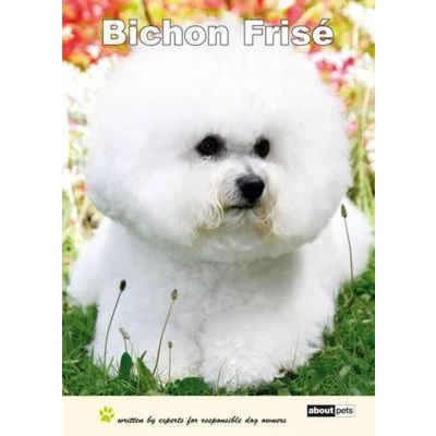 Afbeelding van Bichon Frise