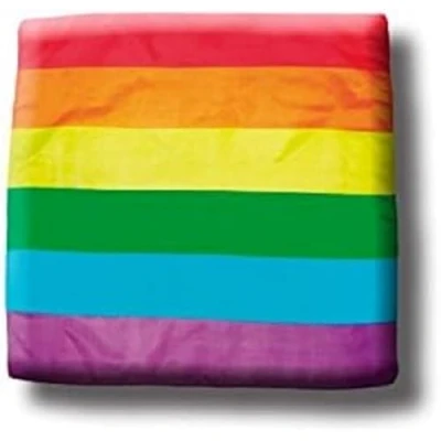Afbeelding van Vlag Divertysex Multicolour 12 Onderdelen
