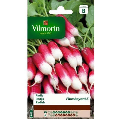 Afbeelding van Radijs Flamboyant 5