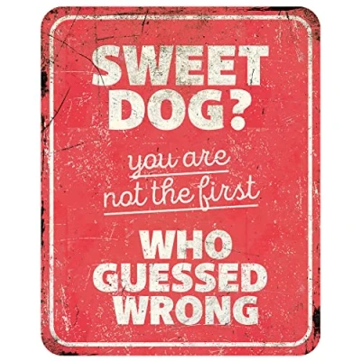 Afbeelding van D&amp;d Home Waakbord Hond Waarschuwingsbord General 1 En 25x20x0,3cm Rood 1st