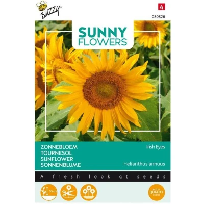 Afbeelding van Sunny Flowers, Zonnebloem Irish Eyes Buzzy