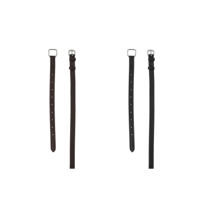 Image de PS of Sweden throatlatch flat
