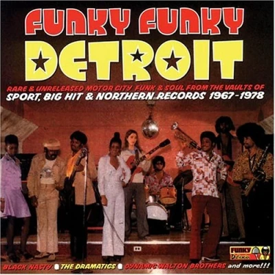 Afbeelding van Various Artists Funky Detroit (CD)