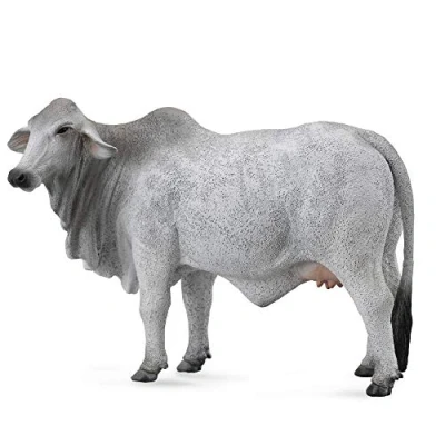 Afbeelding van Collecta Boerderijdieren: Brahmaan Koe 14 Cm Grijs