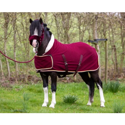 Image de HB H&amp;H Couverture de Concours Dutch Crown Little Sizes Bordeaux 77/95
