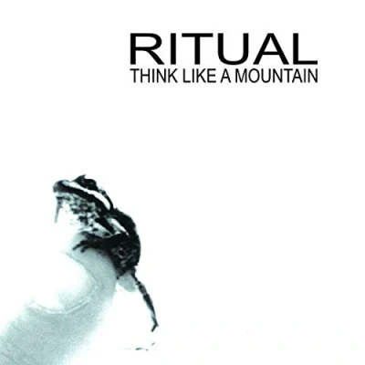 Afbeelding van Think Like A Mountain