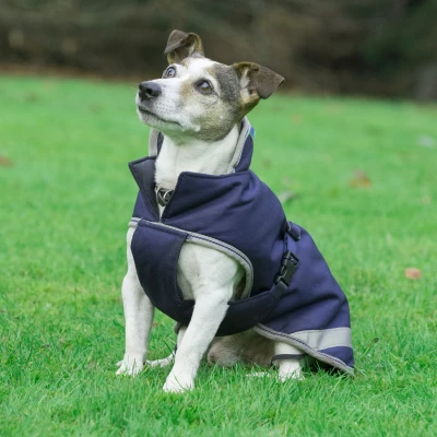 Image de Bucas Freedom Couverture pour Chien 150g Marin 45cm