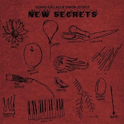 Afbeelding van Simon Joyner &amp; Dennis Callaci New Secret (CD)