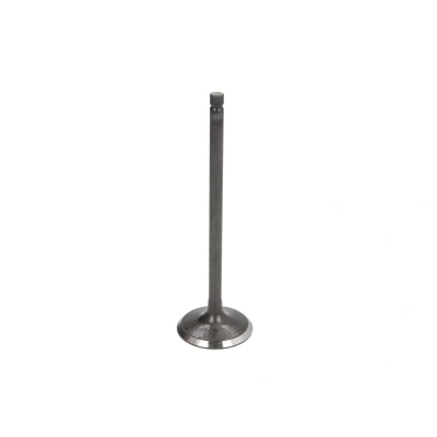Afbeelding van Inlaatklep FRECCIA R6341/SNT