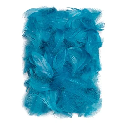 Afbeelding van Netuno 150 stuks turquoise decoratieve veren 10 g donzen vogelveren knutselveren om te knutselen Pasen Kerstmis