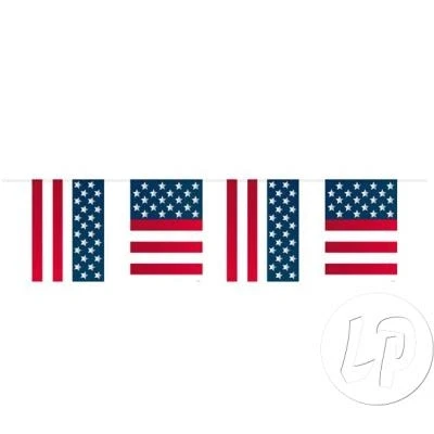 Image de Drapeau Line USA Square
