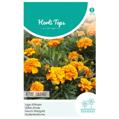 Afbeelding van Tagetes patula nana Petite Orange Buzzy
