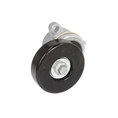 Afbeelding van Riemspanner, Poly V riem DAYCO APV2583