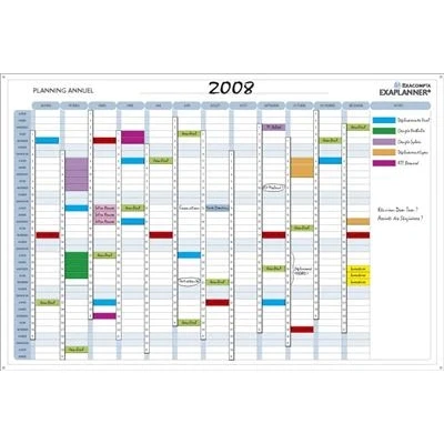 Image de Planning Exacompta Exaplanner Magnétique Annuel Français