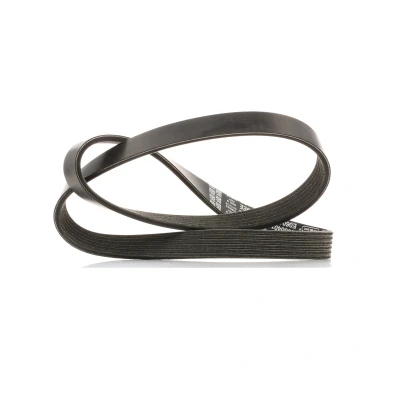 Afbeelding van Poly V riem DAYCO 6PK1019EE