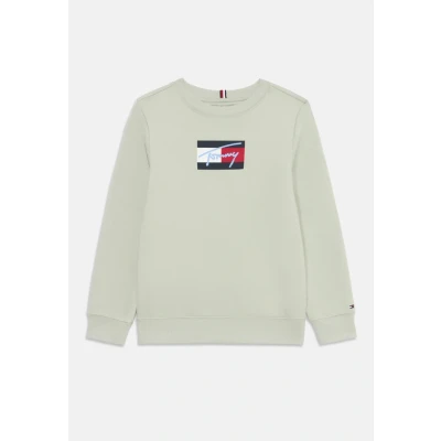 Afbeelding van Tommy Hilfiger Script FLAG Unisex Sweater voor kinderen, Maat: 98, Misty sage