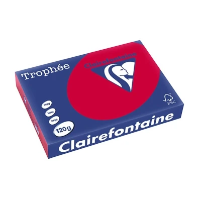 Image de Paquet de 25 cartes pliées Pollen 160x160mm Bordeaux 210g