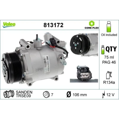 Afbeelding van VALEO 813172 AC Compressor TRSE09 12 PAG 46 R 134a Met compressorolie