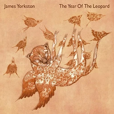 Afbeelding van James Yorkston Year of the Leopard (2 LPs)