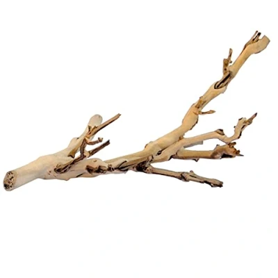 Afbeelding van Exo Terra Natuurlijke Decoratie Reptielen Ex Forest Branch S/30cm 1st