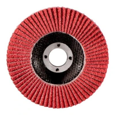 Afbeelding van Metabo 626171000 Lamellenschijf Boordiameter 22.23 mm 10 stuk(s)