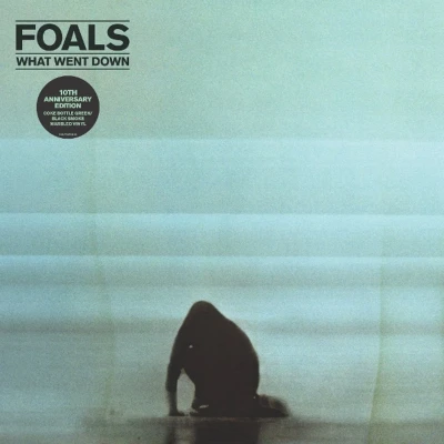 Afbeelding van Foals What Went Down (LP)