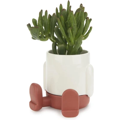 Afbeelding van Balvi Bloempot Mr. Sitty