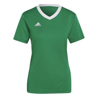 Afbeelding van adidas Performance Entrada Sport Tshirt, Heren, Maat: XXL, Team green/white