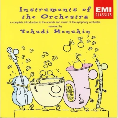 Afbeelding van Instruments Of The Orchestra