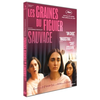 Image de Pyramide Vidéo Les Graines Du Figuier Sauvage