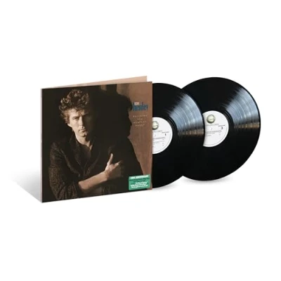 Afbeelding van Don Henley Building The Perfect Beast (LP)