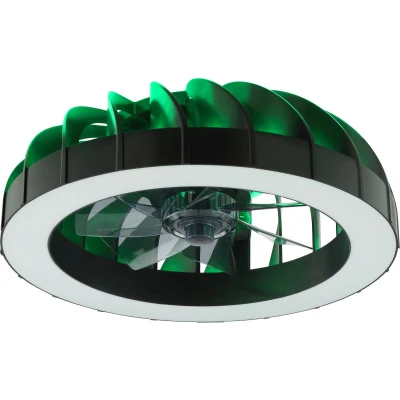 Afbeelding van Brilliant Fanora Plafondventilator Met verlichting LED 30W 2700K 6500K Dimbaar Zwart Zeer stil